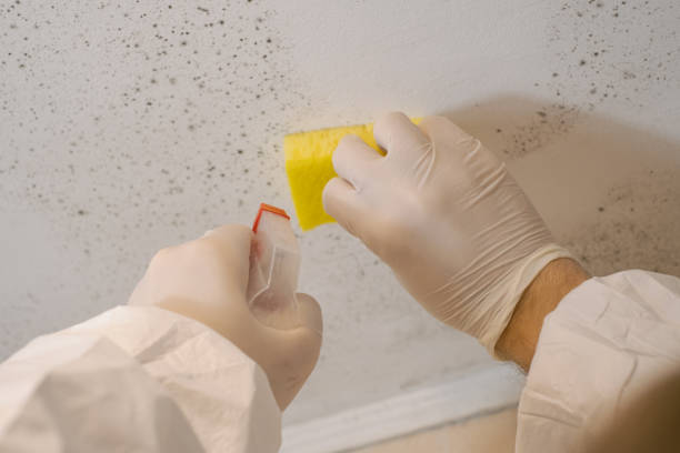 Dehumidification Services in Trafalgar, IN